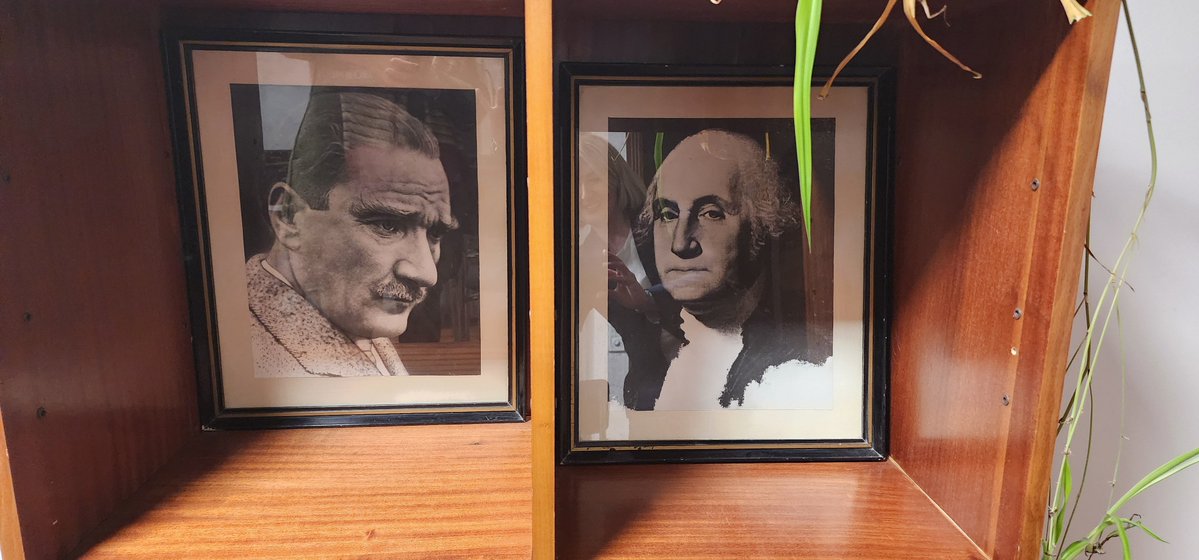 Dr. Işıl Acehan tweet media