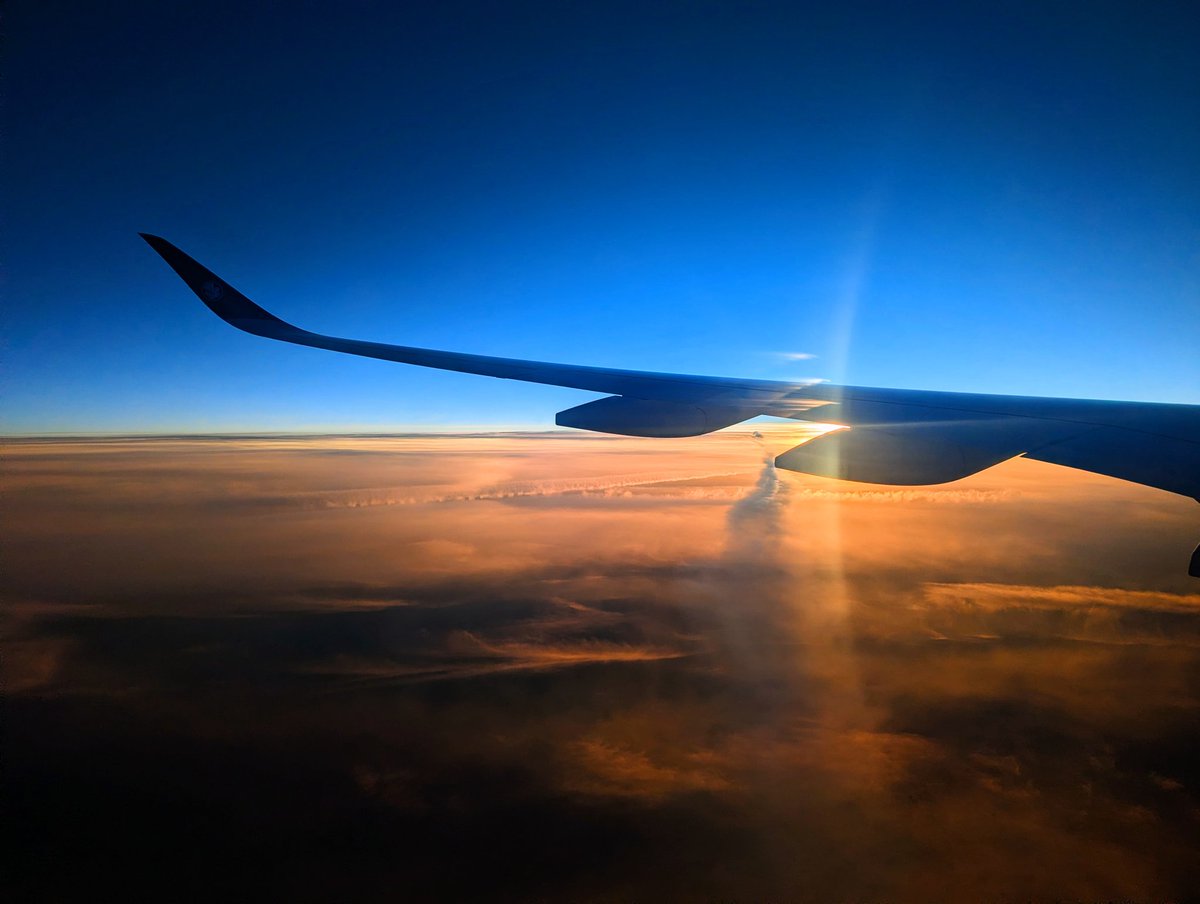 帆立 Hotate/Scallop tweet media