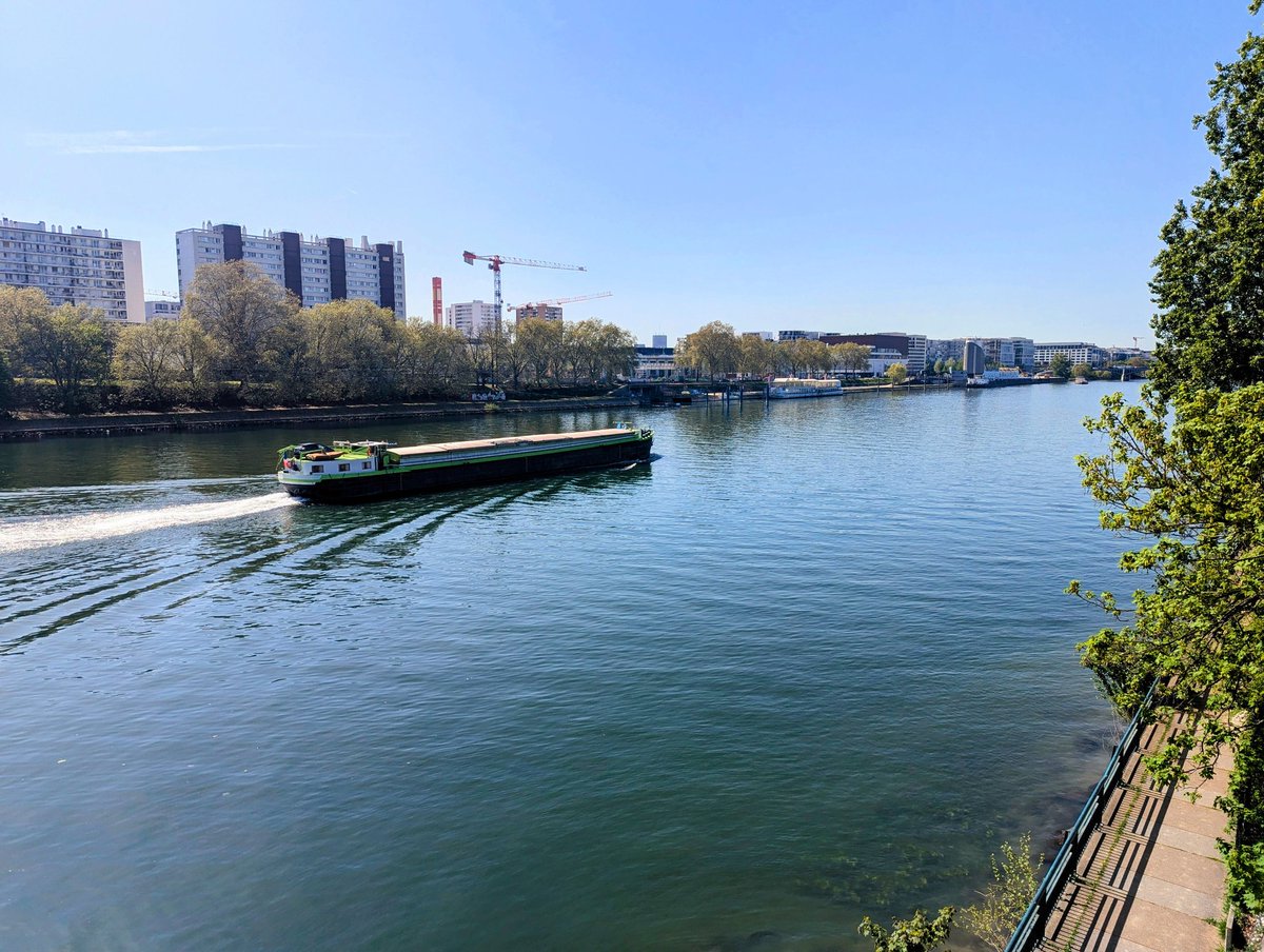 帆立 Hotate/Scallop tweet media