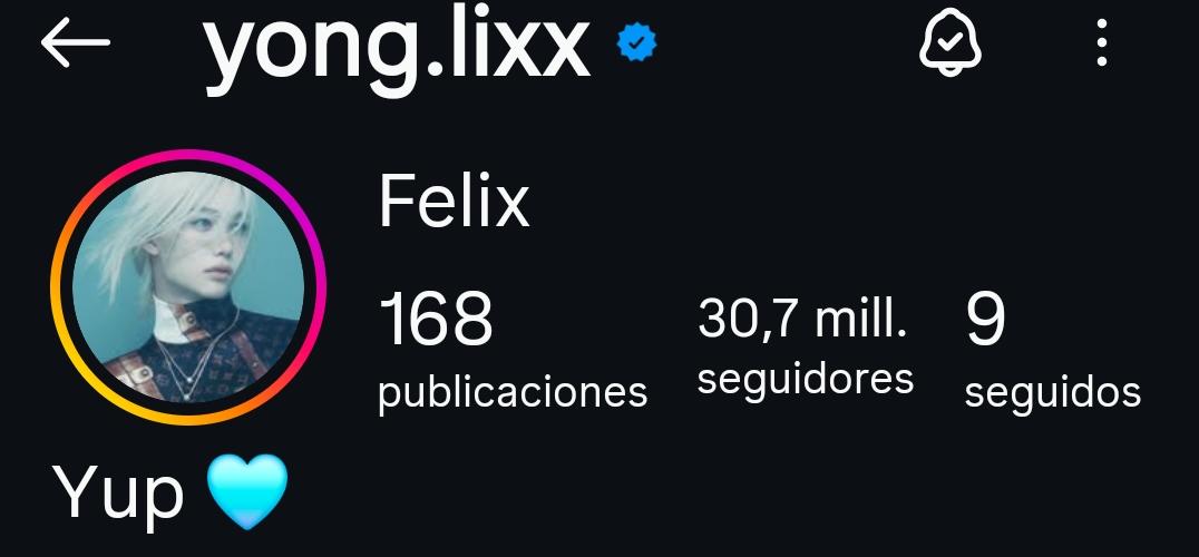 HyunlixFB tweet media