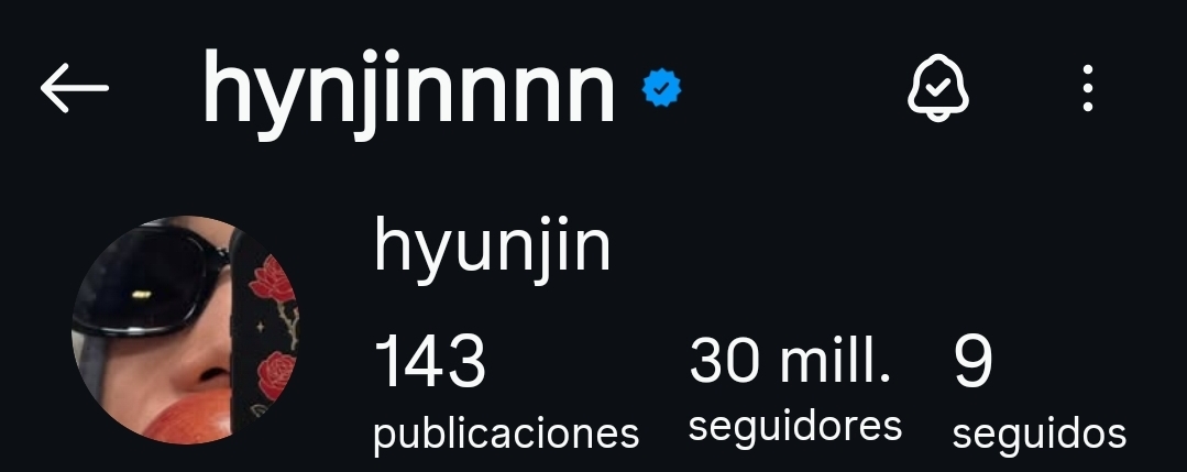 HyunlixFB tweet media