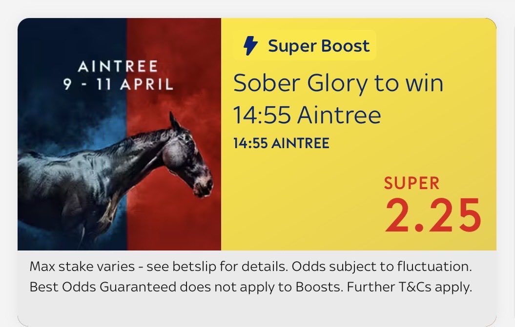 Danny Wolf Tips tweet media