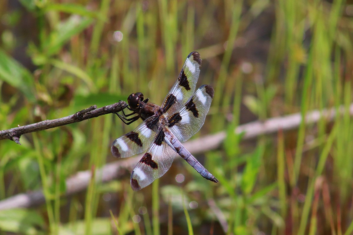 Klip-Pics tweet media