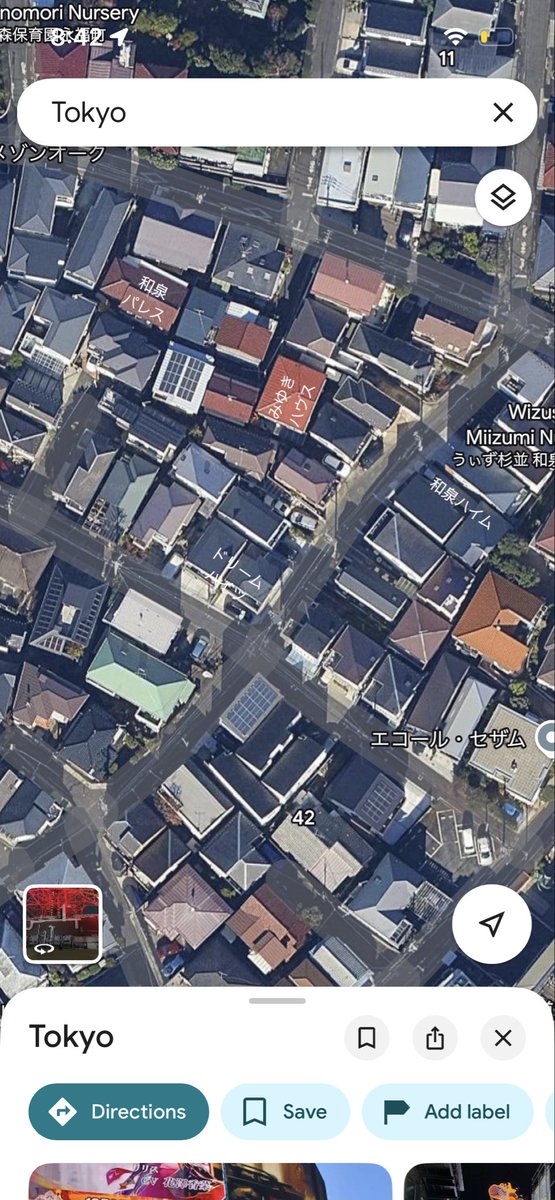 Alicia, Courtyard Urbanist tweet media