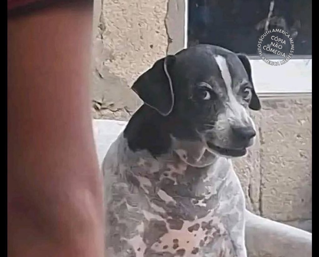 Tribal Goku tweet media