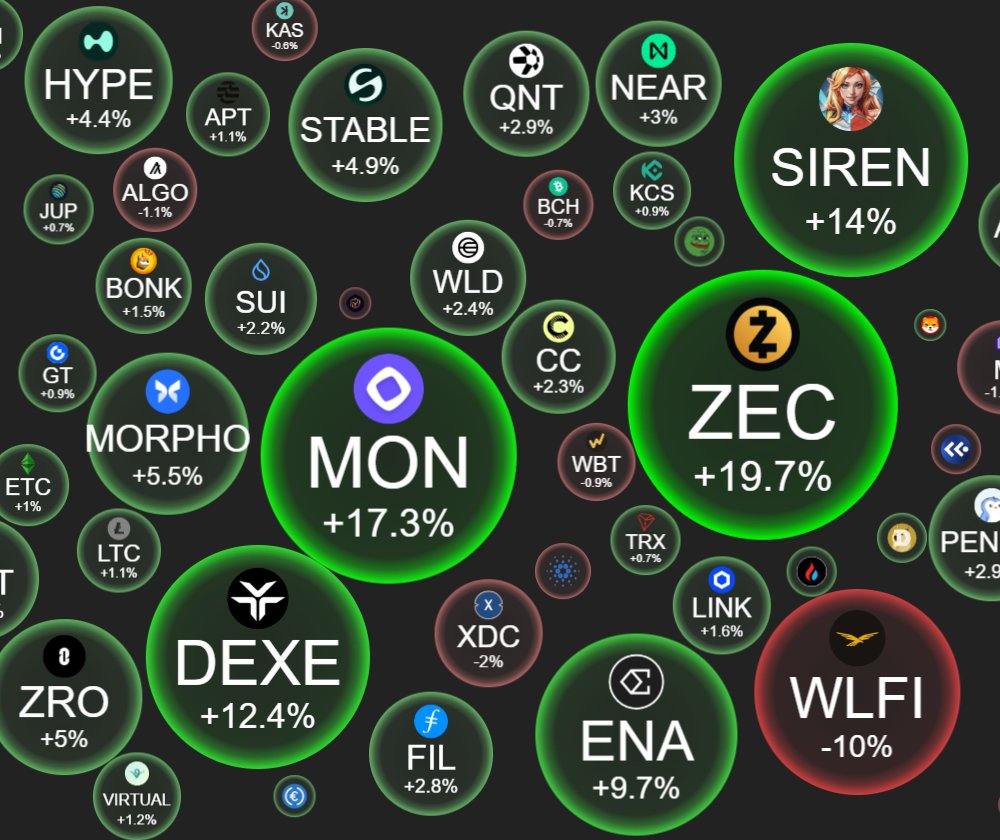 icebearcute tweet media