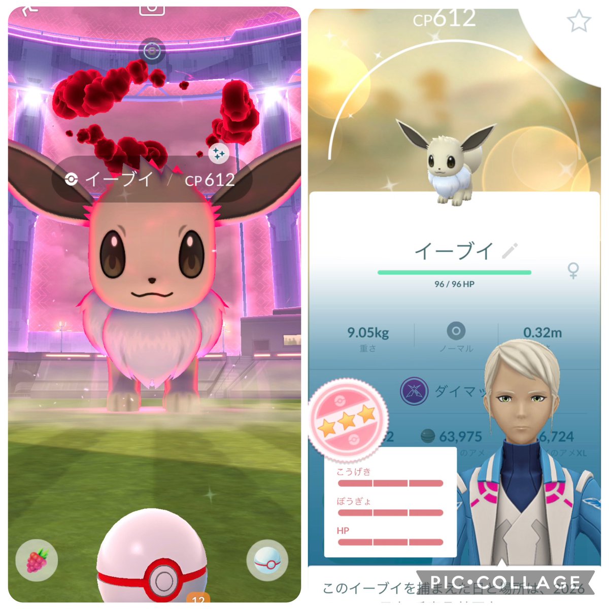 プラット♪🦔 tweet media