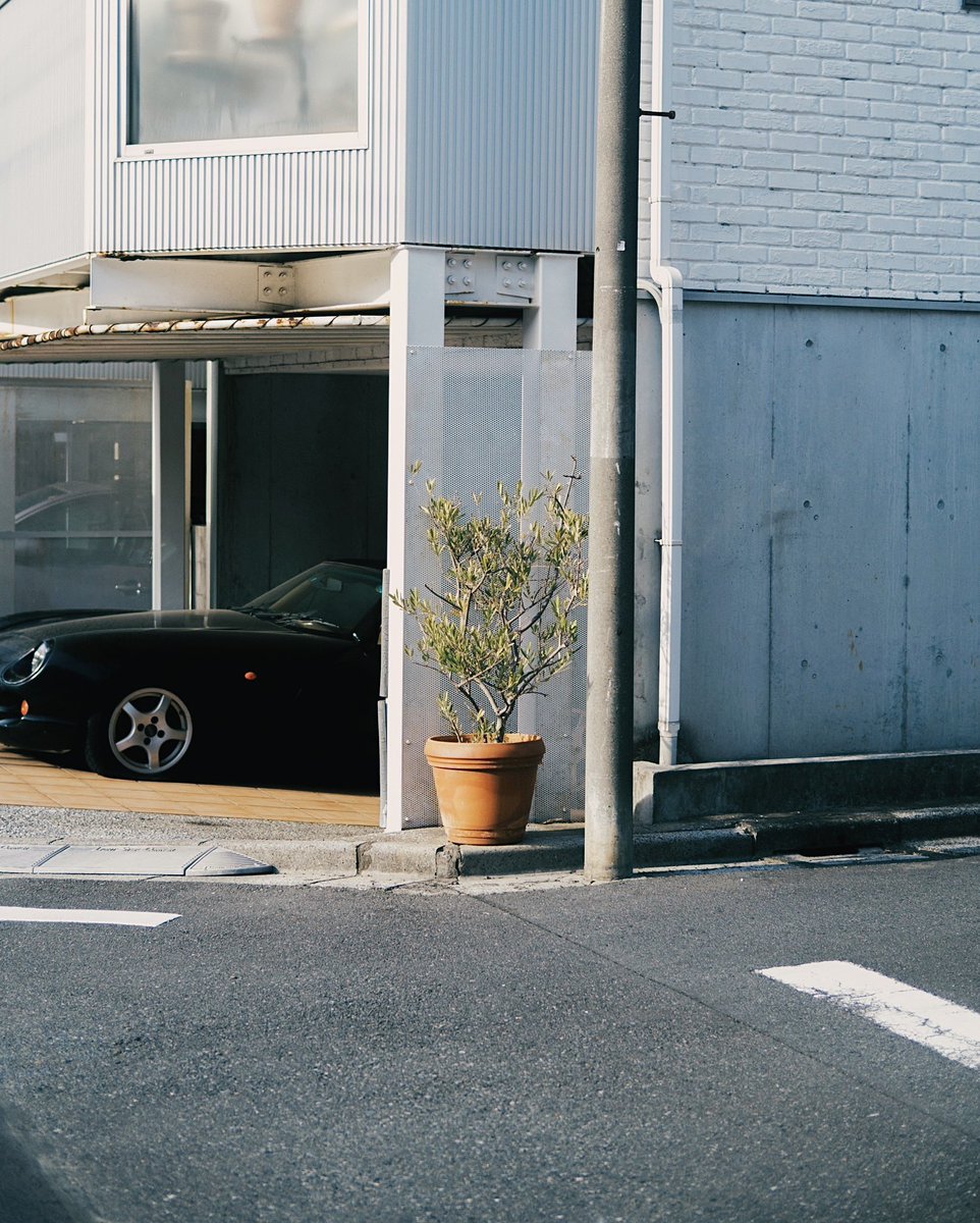 Kimura Hinami tweet media