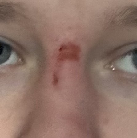 𝐁𝐨𝐧𝐛𝐨𝐧𝐫𝐢𝐛𝐛𝐨𝐧 𝐨𝐟 𝐬𝐡𝐞𝐝𝐭𝐰𝐭 ✿ tweet media