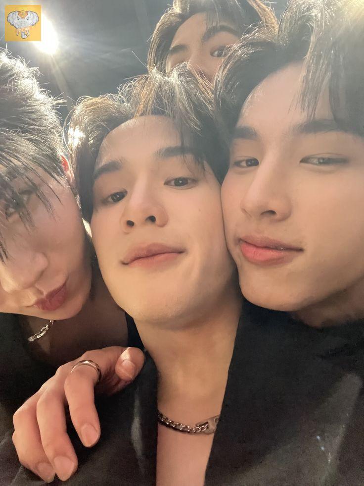 fessthai | เฟสไทย tweet media