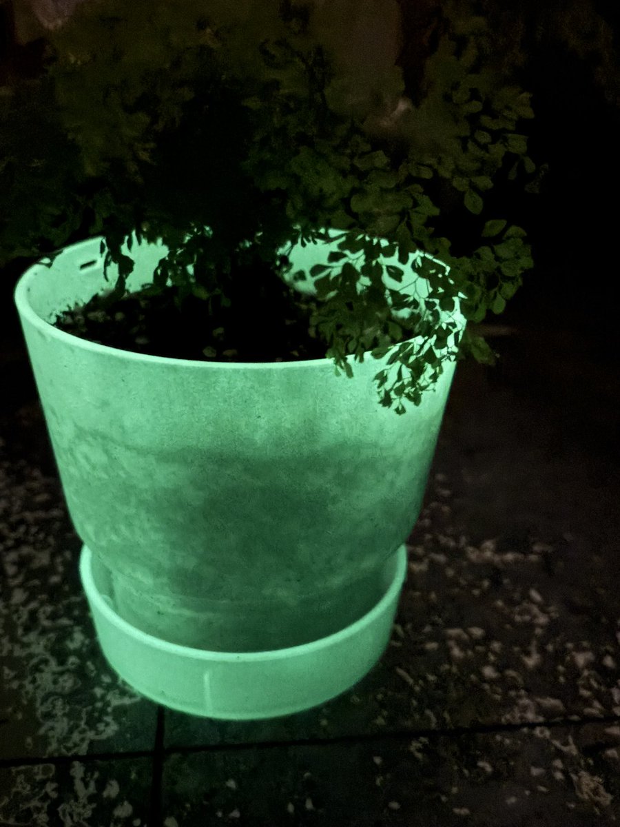 불만많은 애 tweet media