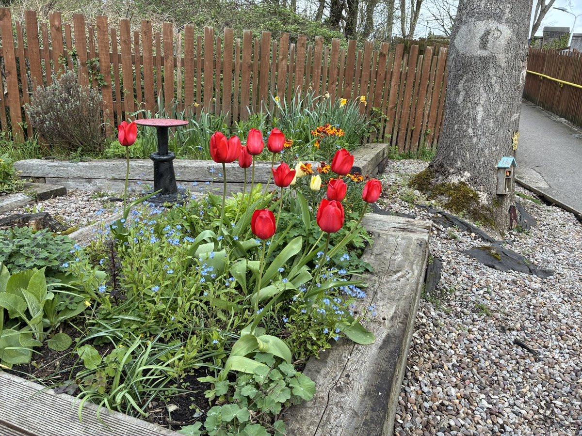 FoRoseHillStation tweet media