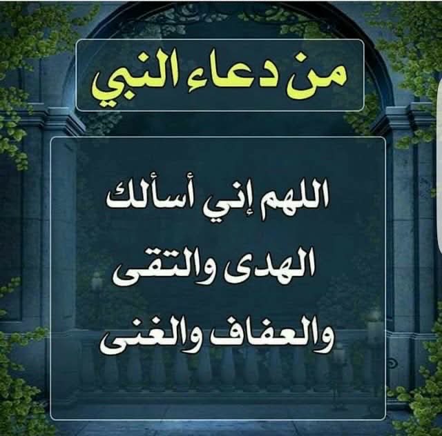 الدلما tweet media