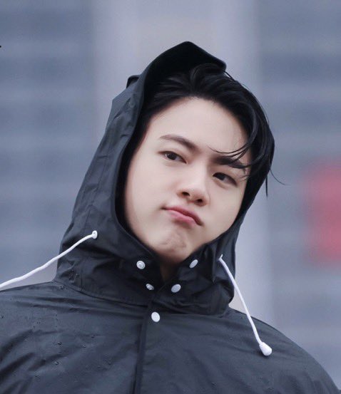 seokjinnie's cheeks 👨🏻🚀💙 tweet media