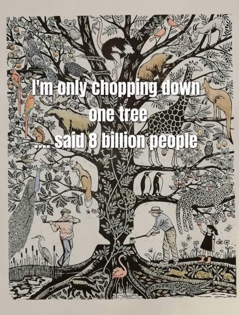 REVOLP's tweet image. Plant a tree in memory of a friend!  #Plantatree #Plantmemories #Replacetrees