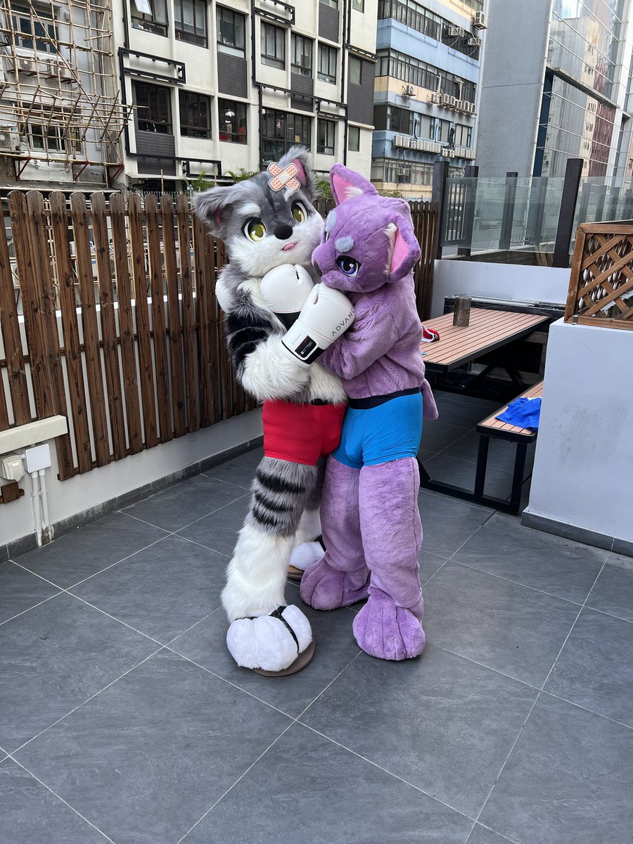 Samuel Vesper😾🥊+ Coodinal😺🪄🔜以茶會毛26 tweet media