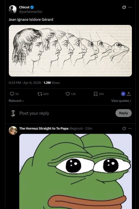 White tweet media