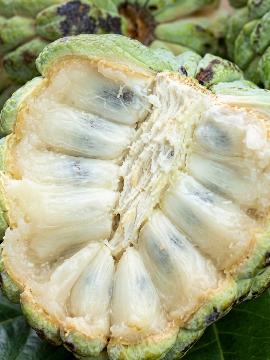 Farouq Hydra🦅 tweet media