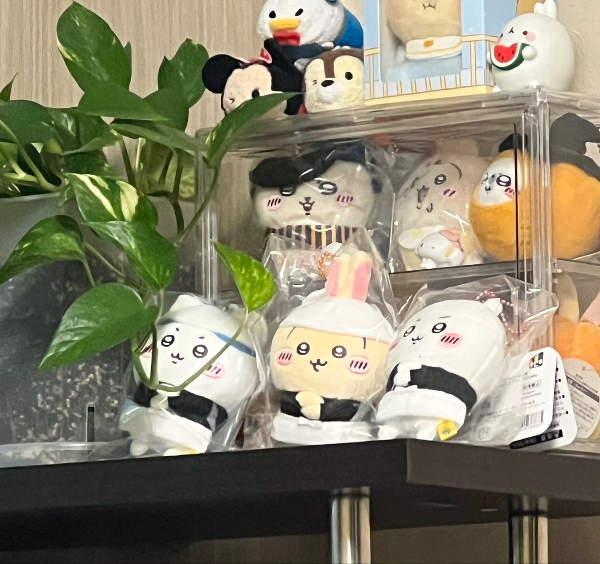 기니햄 tweet media