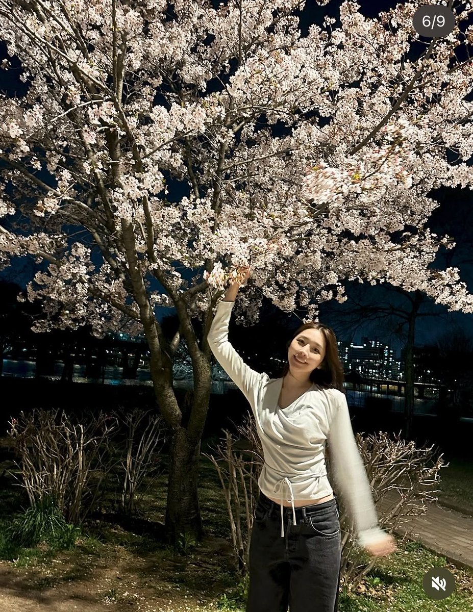 ThimsDubai tweet media