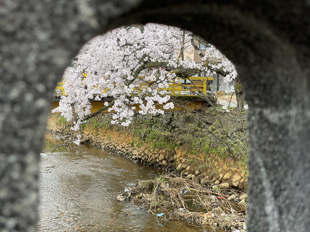 ゆうや、 tweet media