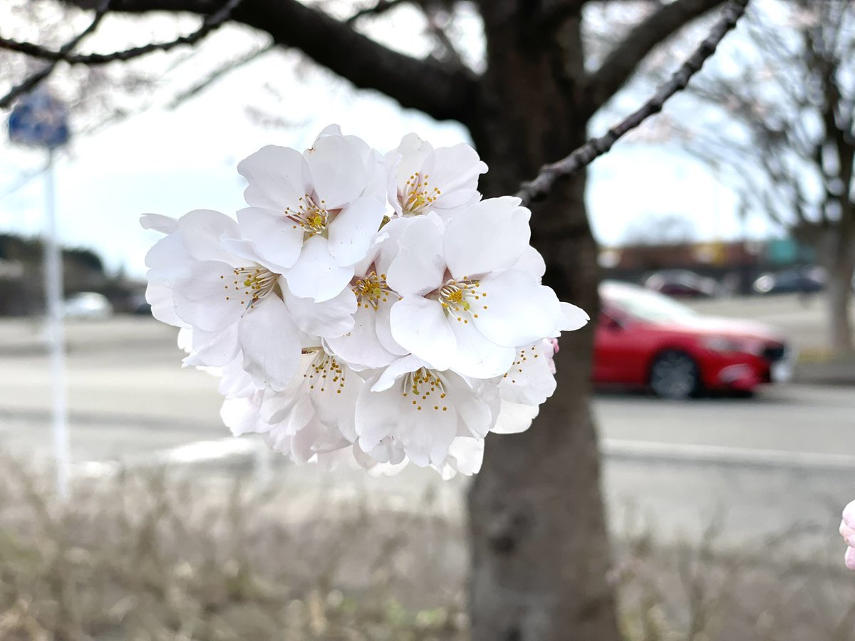 ゆうや、 tweet media