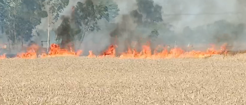 भारत समाचार | Bharat Samachar tweet media