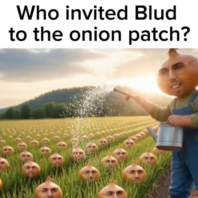 Zesty Onions tweet media