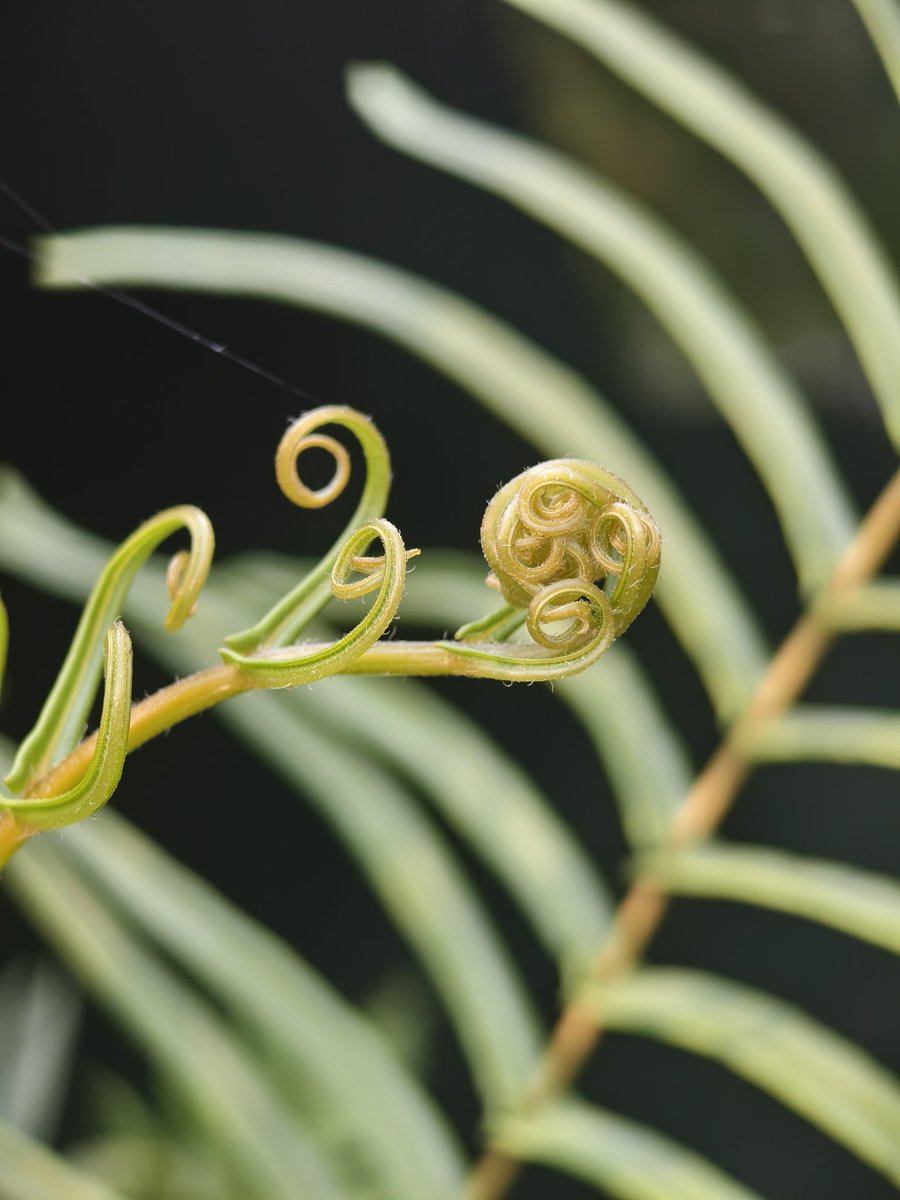 Paritosh_33's tweet image. Some fun shots..unedited..
Have an amazing day guys..
#Friday