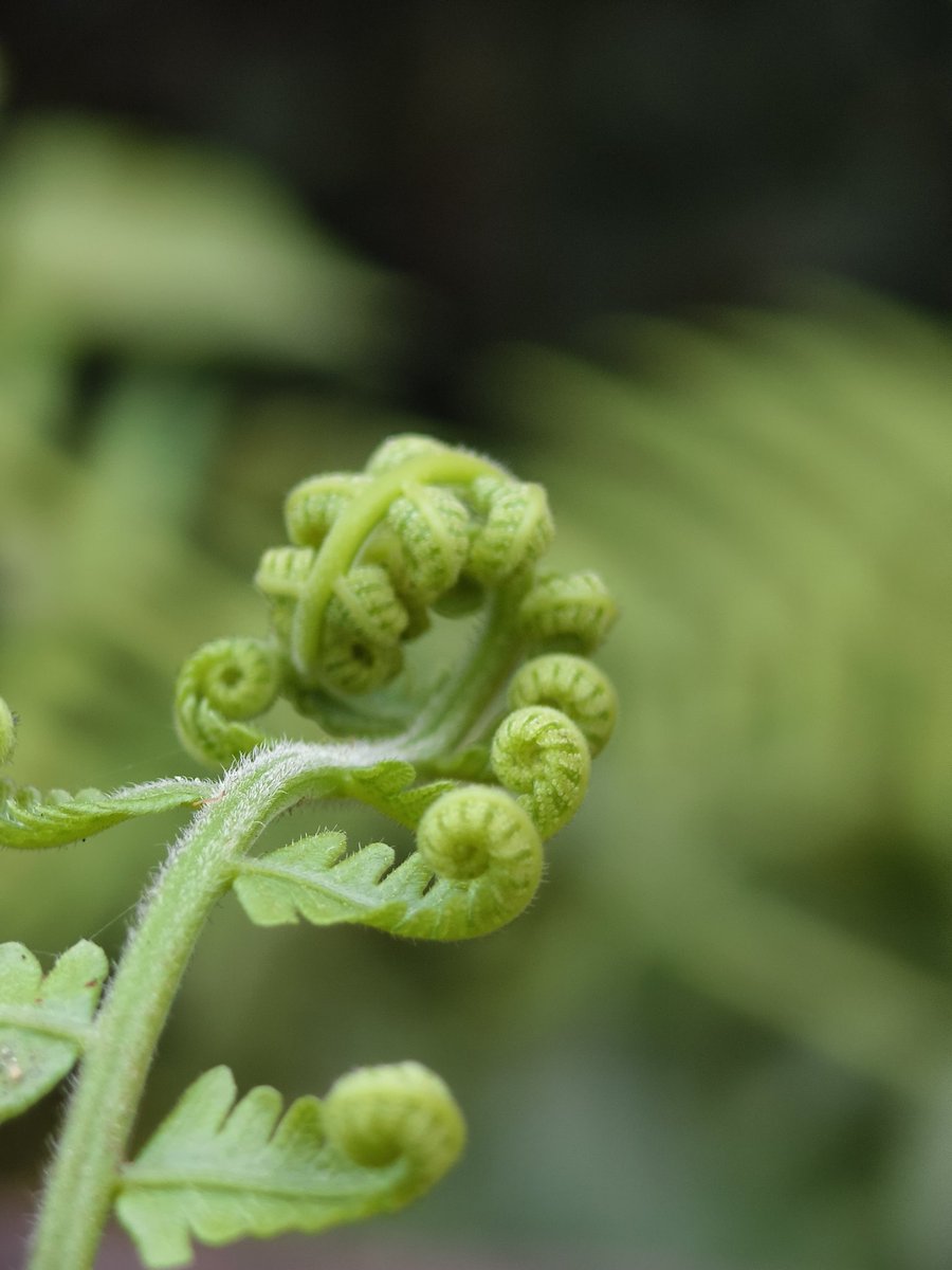 Paritosh_33's tweet image. Some fun shots..unedited..
Have an amazing day guys..
#Friday