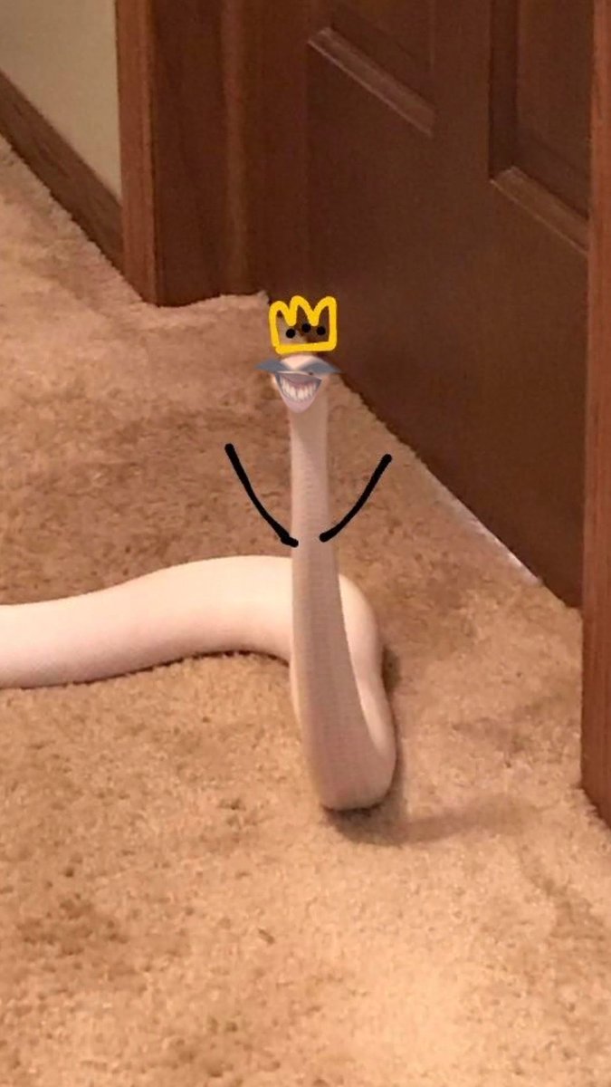 HARDEY 🥇 tweet media