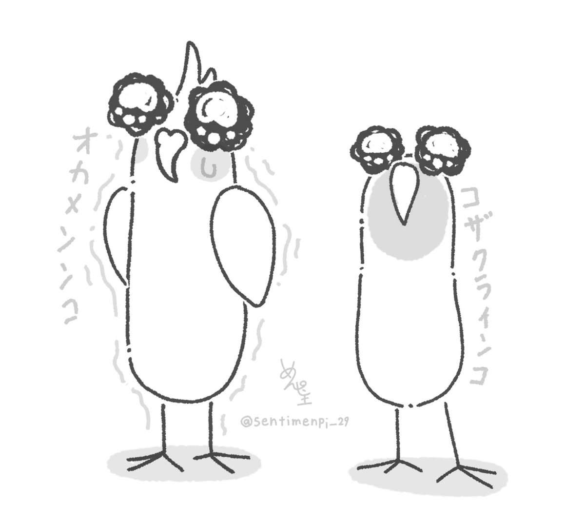 sentimepi_29's tweet photo. メンピふぉるむ鳥図鑑
(ズームver.)
#イラスト
#インコ
#創作
#ゆるいイラスト
#鳥の絵 https://t.co/UNO72yaYcM