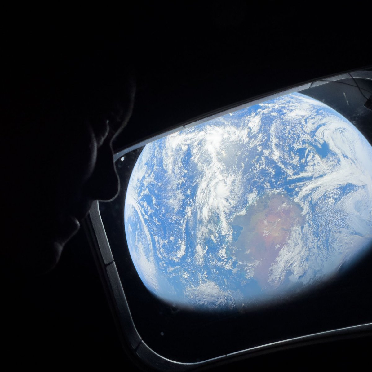 What's on Netflix tweet media