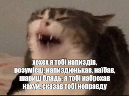 captainess bլahbլahrossa tweet media