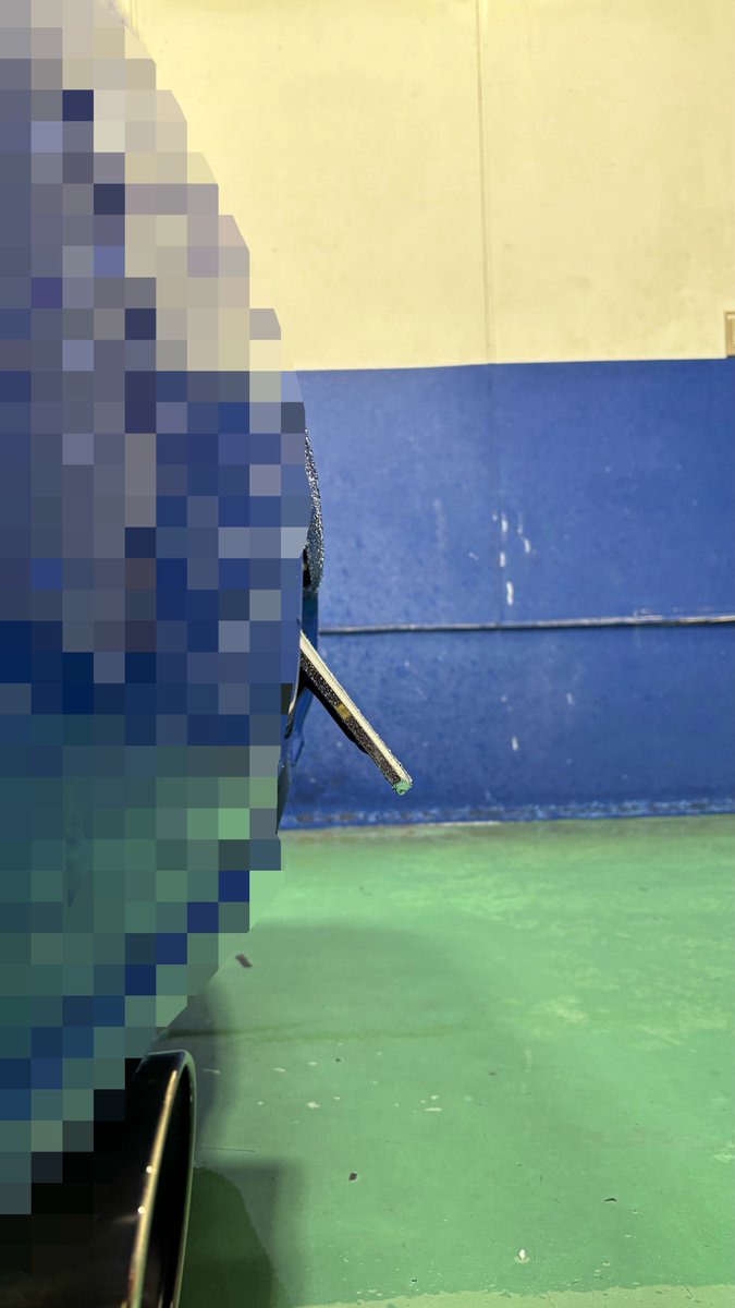 ⚒️🍃みもぷれっさ🐻💿 tweet media