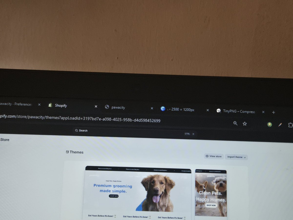 sammydigits's tweet image. Open to more Shopify gigs. 

If you or anyone in your network ever needs a Shopify expert for design or redesign work, I'd be happy to help.

#shopify #ecommerce #webdesign #shopifydesign #petstore #dropshipping