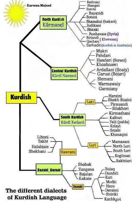 SÜMERLER / ARİ KÜRDLER tweet media