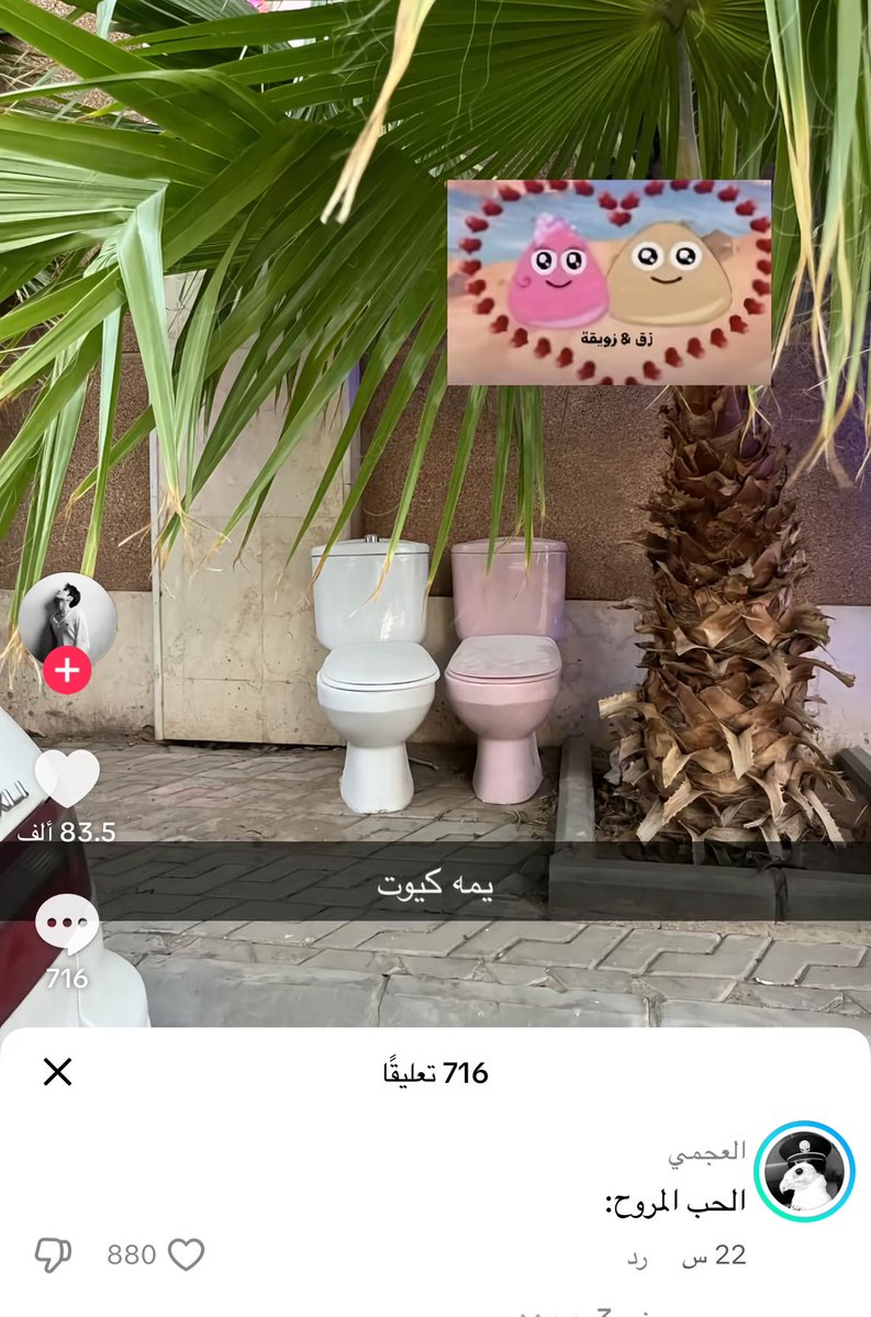 ‏قشطهَ tweet media