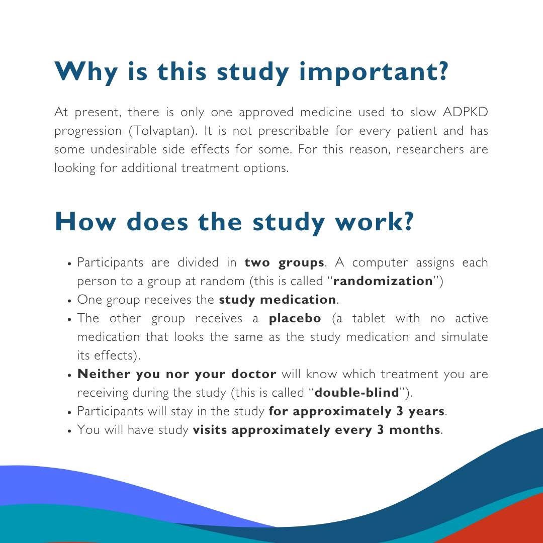 PKD_Int's tweet image. 🧵🧪 Important recruitment update on the STOP-PKD study (1/6)
We are very pleased to share a significant update on the #STOP-PKD study, an important European research initiative for people living with #ADPKD.