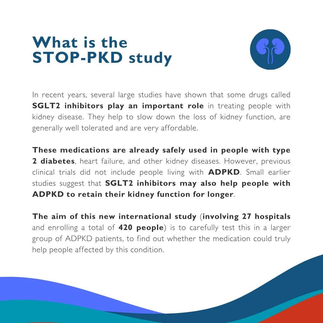 PKD_Int's tweet image. 🧵🧪 Important recruitment update on the STOP-PKD study (1/6)
We are very pleased to share a significant update on the #STOP-PKD study, an important European research initiative for people living with #ADPKD.