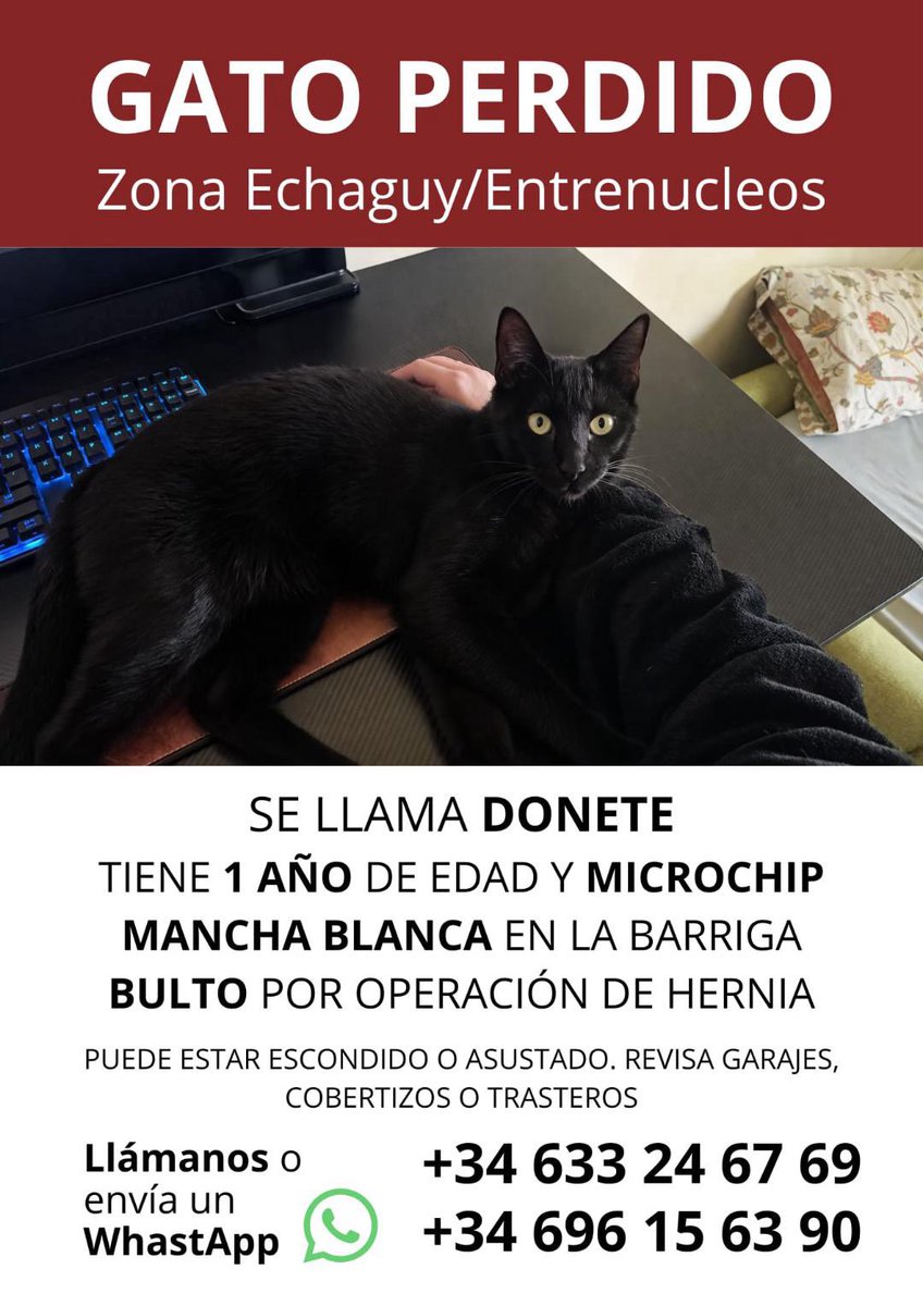 Ojito 👁 tweet media