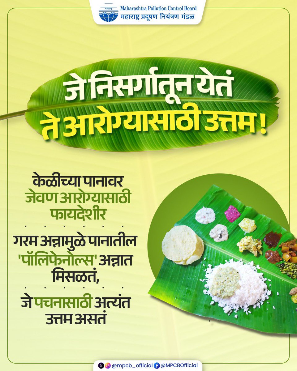 mpcb_official's tweet image. आठवड्यातून एकदा तरी हा अनुभव नक्की घ्या!

केळीच्या पानावर जेवल्याने केवळ अन्नाची चवच वाढत नाही, तर त्यातील ‘पॉलिफेनोल्स’ अन्नावाटे शरीरात जाऊन पचनशक्ती सुधारतात.

#MPCB #SustainableLiving #EcoFriendly