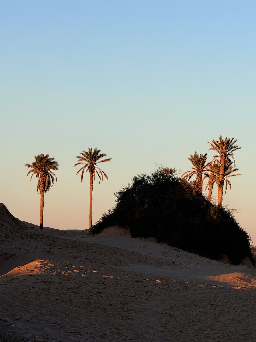 tati⁷⭐️ tweet media