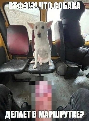 題 S୭ৎna tweet media