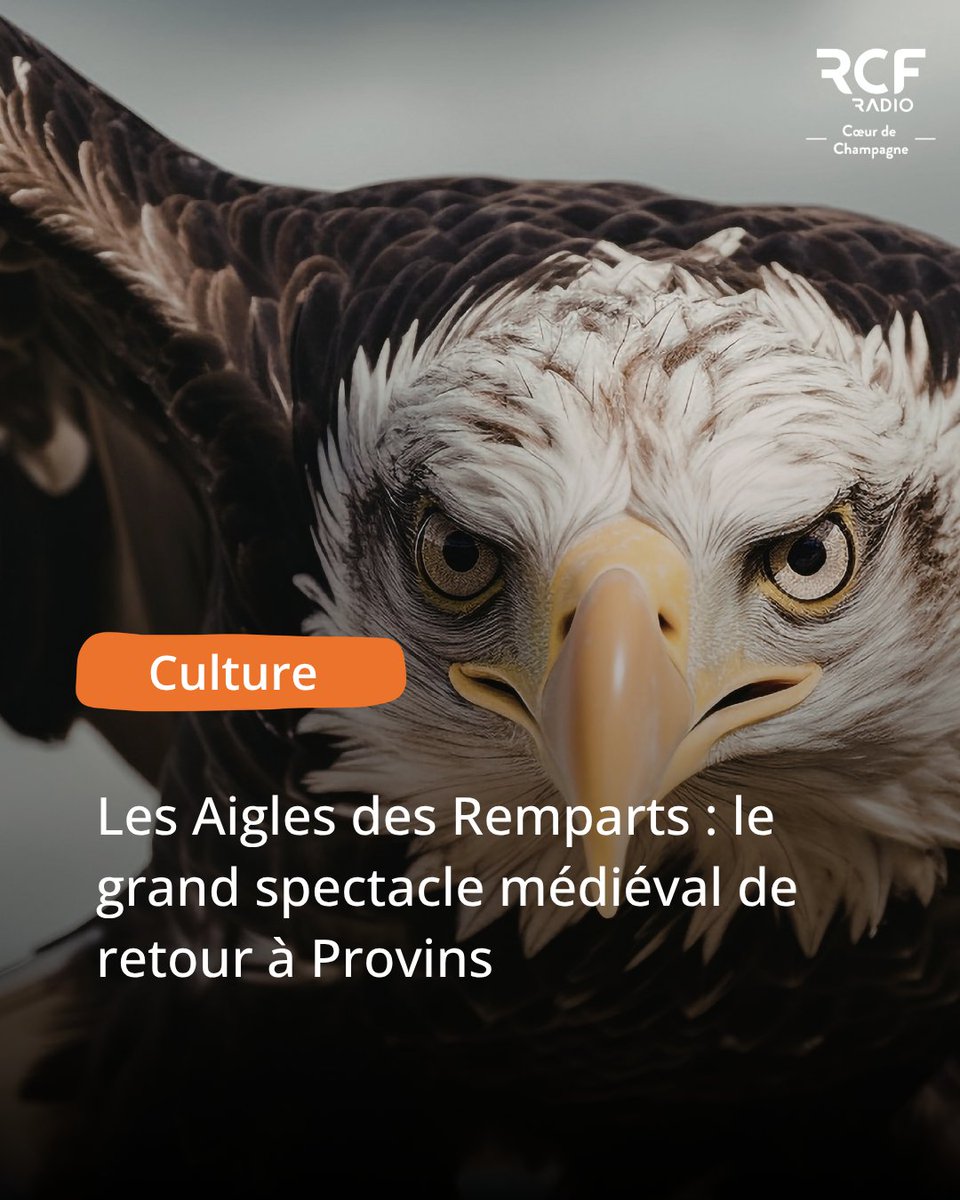 RCF Cœur de Champagne tweet media