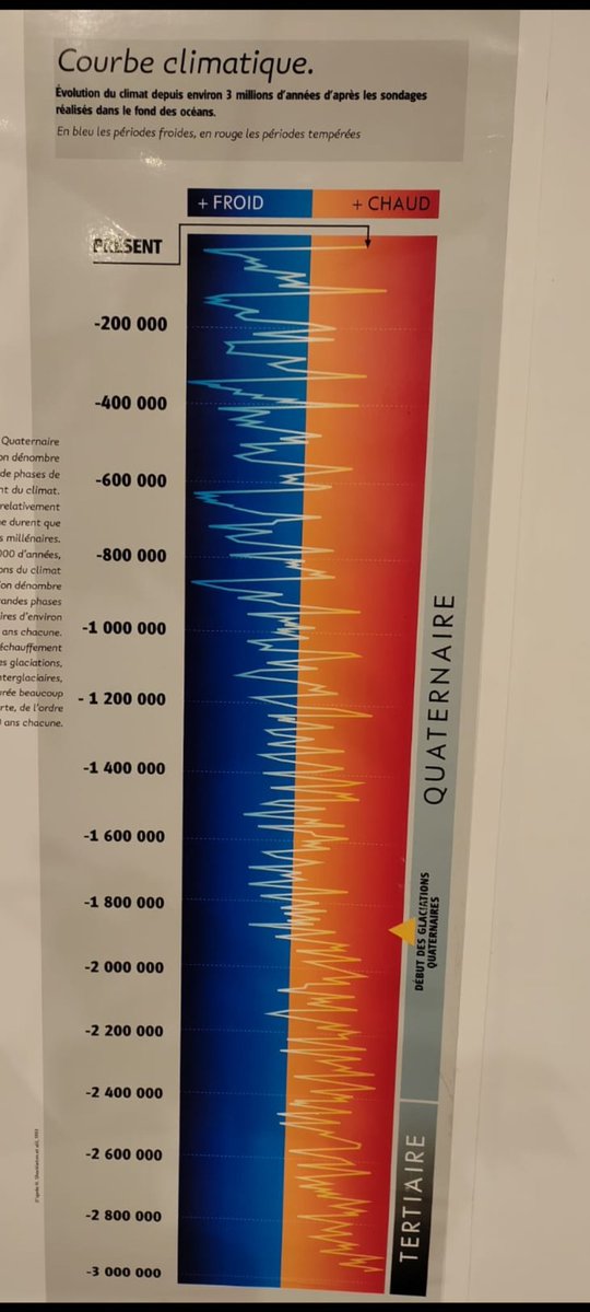 Colhoeggarden tweet media