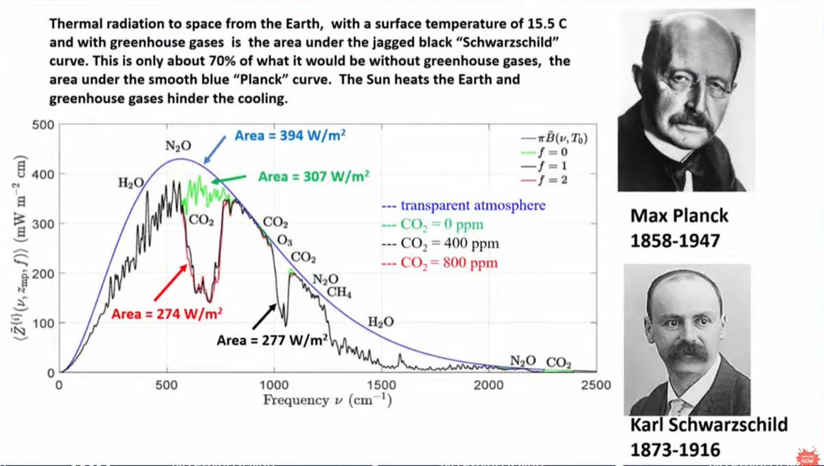 Lucas Bergkamp tweet media