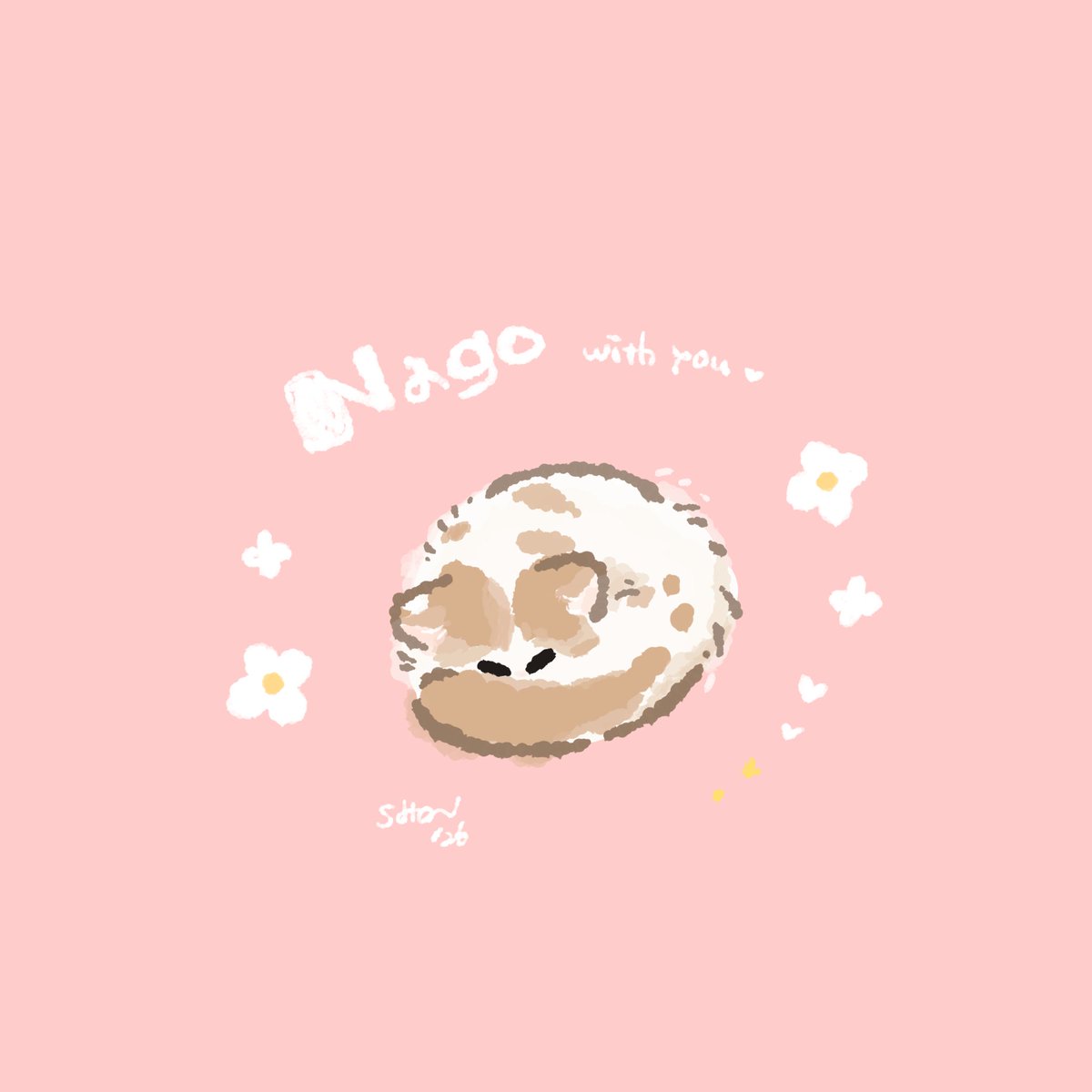 遥人📛 tweet media