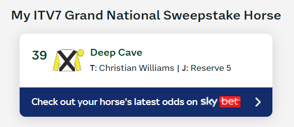 Ani May 🐝🍀 tweet media