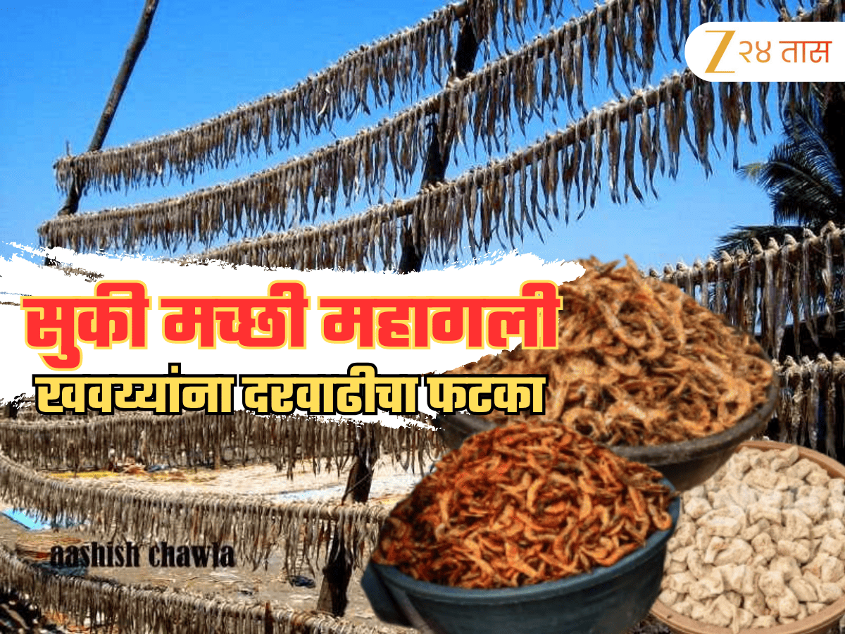 zee24taasnews's tweet photo. सुका म्हावरा महागला, खवय्यांना बसला दर वाढीचा फटका, रेट पाहून तोंडचं पाणी पळेल #DryFish #PriceHike #kokan https://t.co/uFoqRye004 https://t.co/up0NE5ZBSn